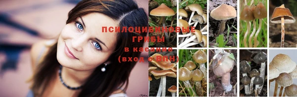 скорость Куйбышев