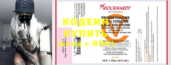 соль ск Кулебаки