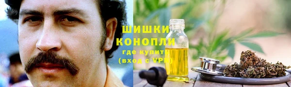 соль ск Кулебаки