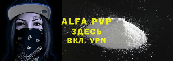 индика Кукмор