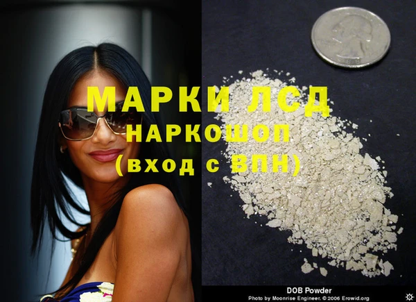 индика Кукмор