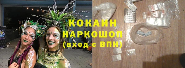 индика Кукмор