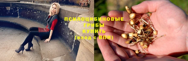 соль ск Кулебаки