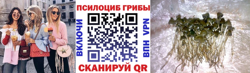 Псилоцибиновые грибы ЛСД  где купить наркоту  Юрга 